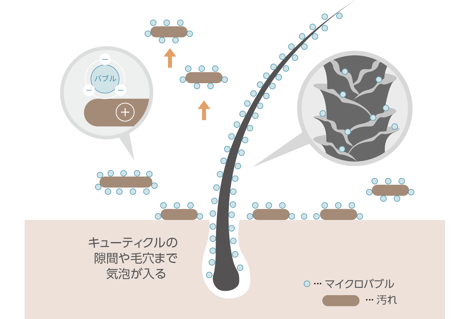 キューティクルの隙間や毛穴まで気泡が入る